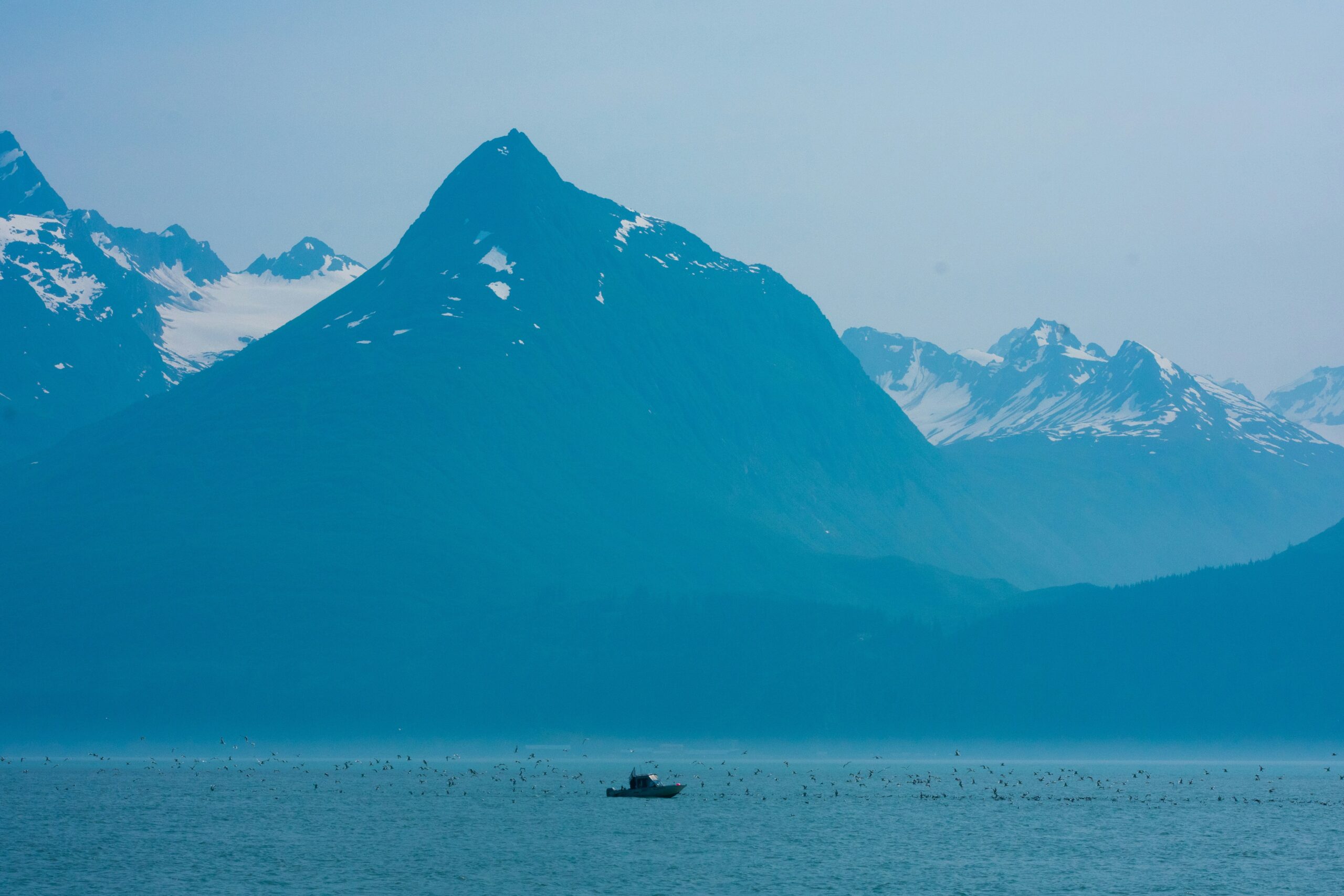 5 Must Do Things in Juneau includes charter fishing. Photo by JP Popham via Unsplash.